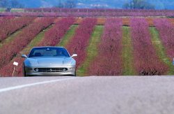 Ferrari 456 review covering 1993 - 2004