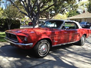 used Ford Mustang 289ci Auto (Two owner Californian Car) used Ford Mustang 289ci Auto (Two owner Californian Car)