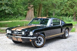 used Ford Mustang Fastback Hertz Shelby 289ci 4 Speed Tribute used Ford Mustang Fastback Hertz Shelby 289ci 4 Speed Tribute