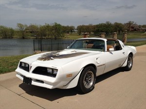used Pontiac Trans Am (Top Spec W72, WS6, genuine original Survivor) used Pontiac Trans Am (Top Spec W72, WS6, genuine original Survivor)