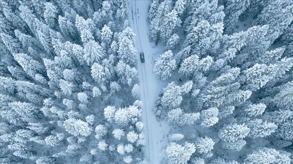 How to Keep Your Vehicle Safe During Winter