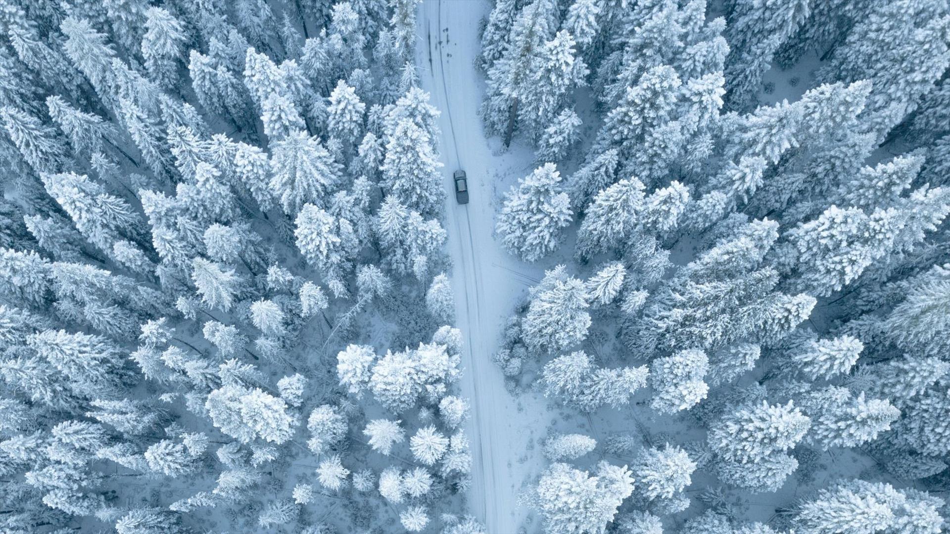 How to Keep Your Vehicle Safe in Winter