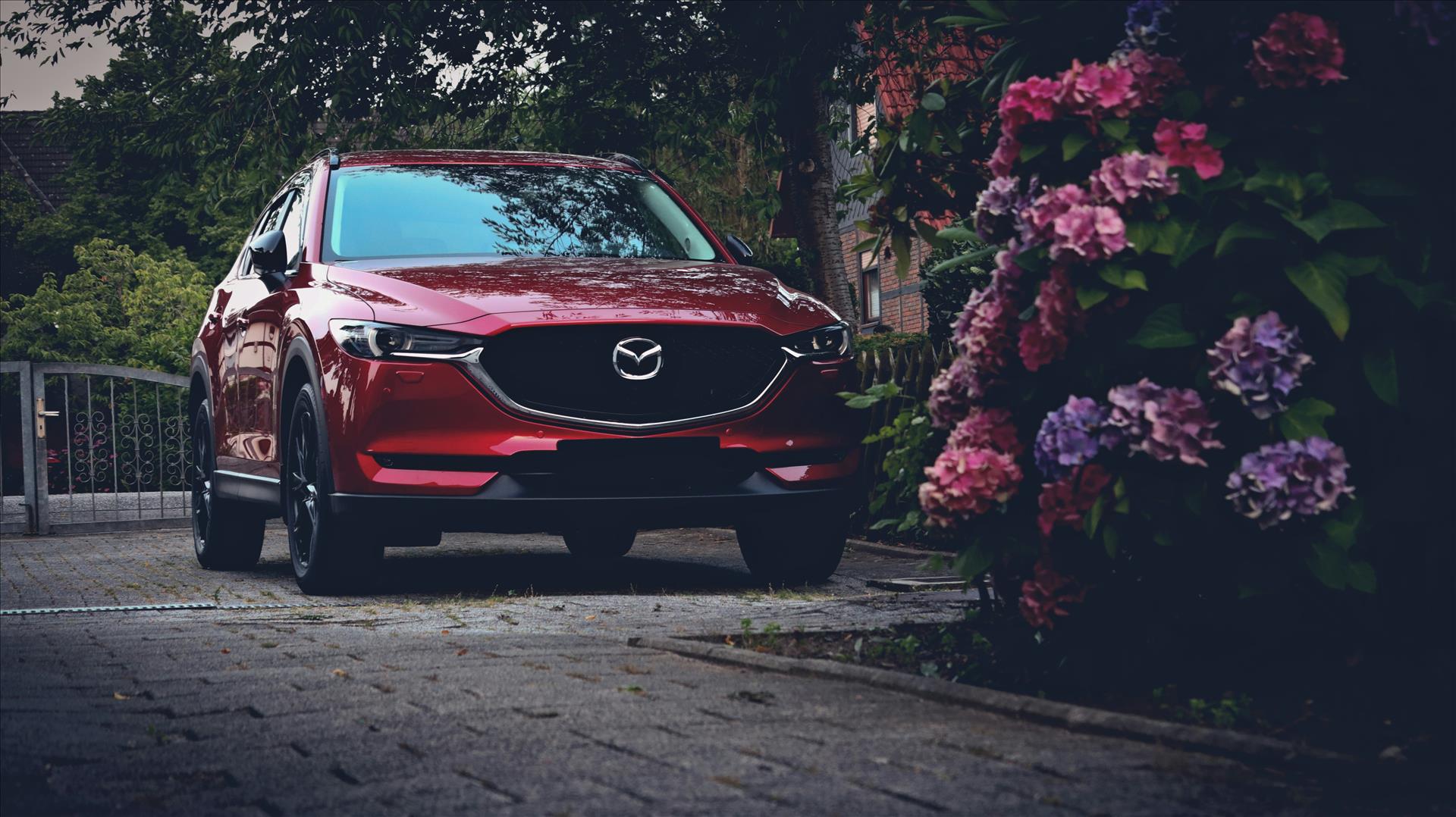 5 Cool Features of the Mazda CX-30