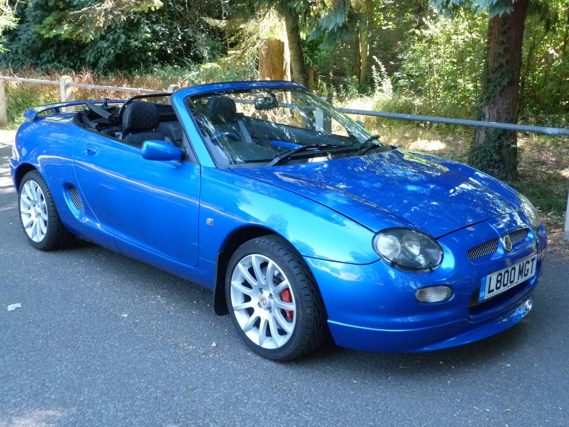 La miniera d'oro non sfruttata della Steroidi Italia che praticamente nessuno conosce