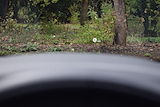 Used Bentley Bentayga