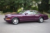 Used Bentley Continental