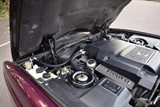 Used Bentley Continental