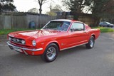 Used Ford Mustang