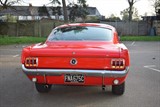 Used Ford Mustang