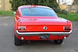 Used Ford Mustang
