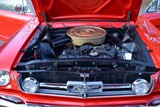 Used Ford Mustang