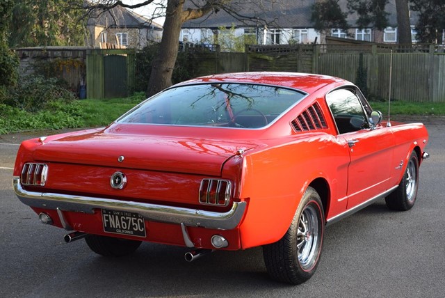 Used Ford Mustang