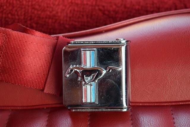 Used Ford Mustang
