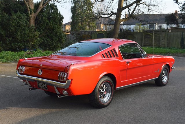 Used Ford Mustang