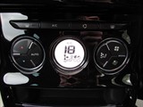 DS 3