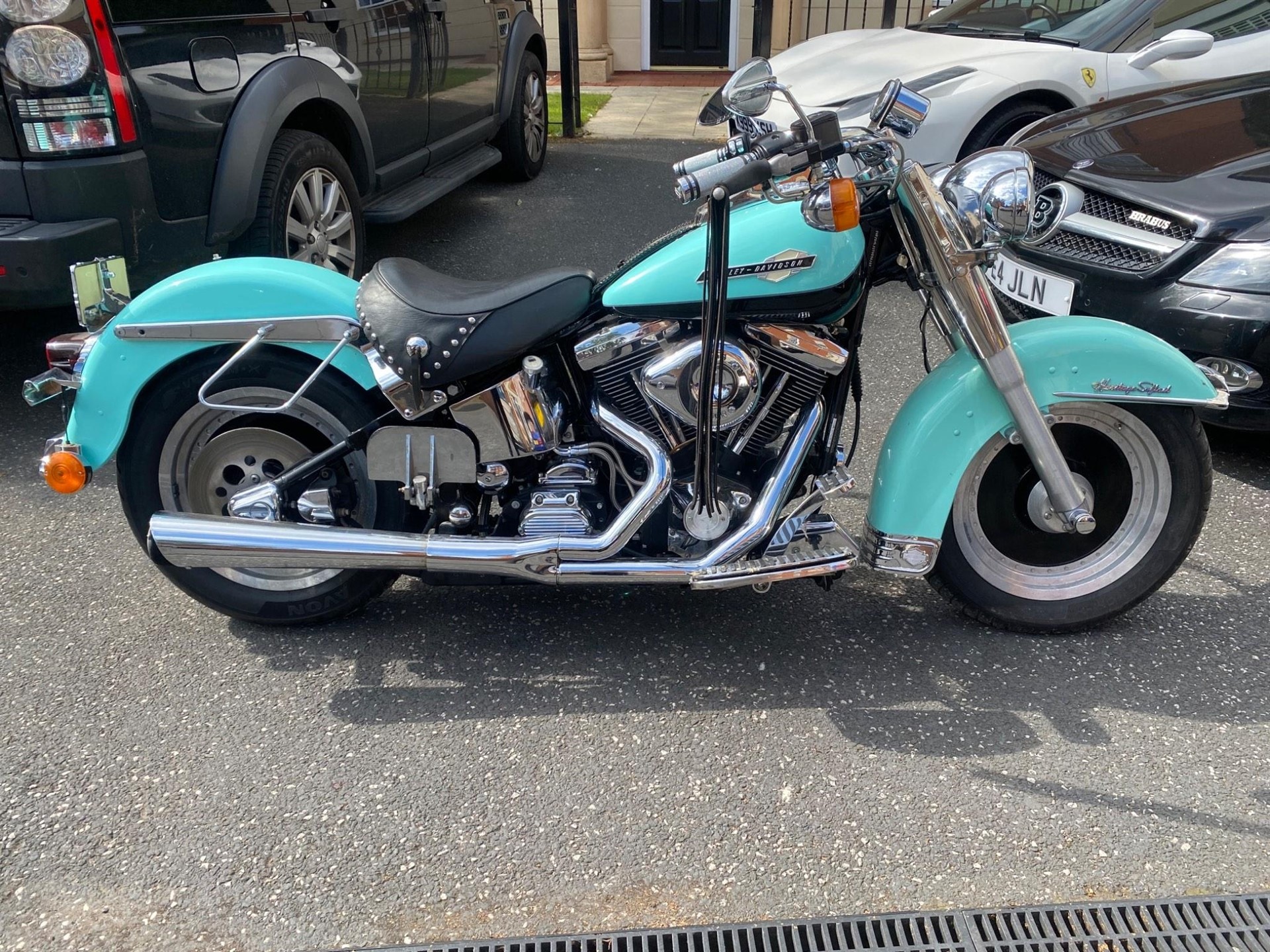 Harley davidson store softail for sale