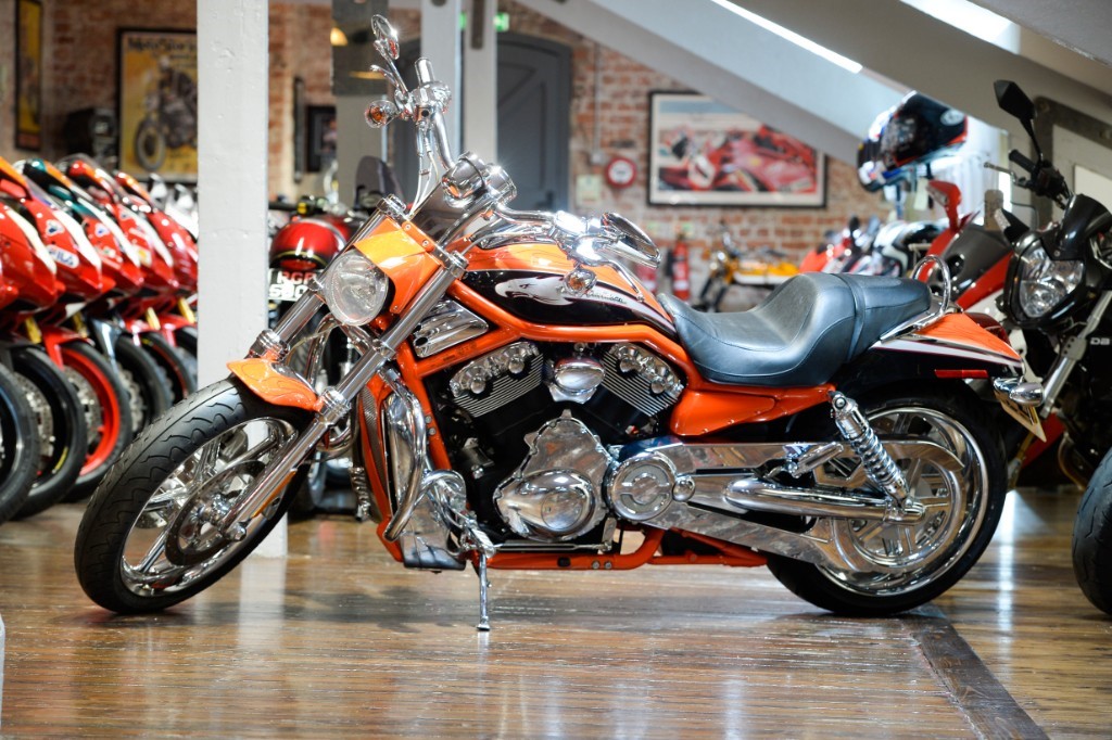 cvo screamin eagle v rod