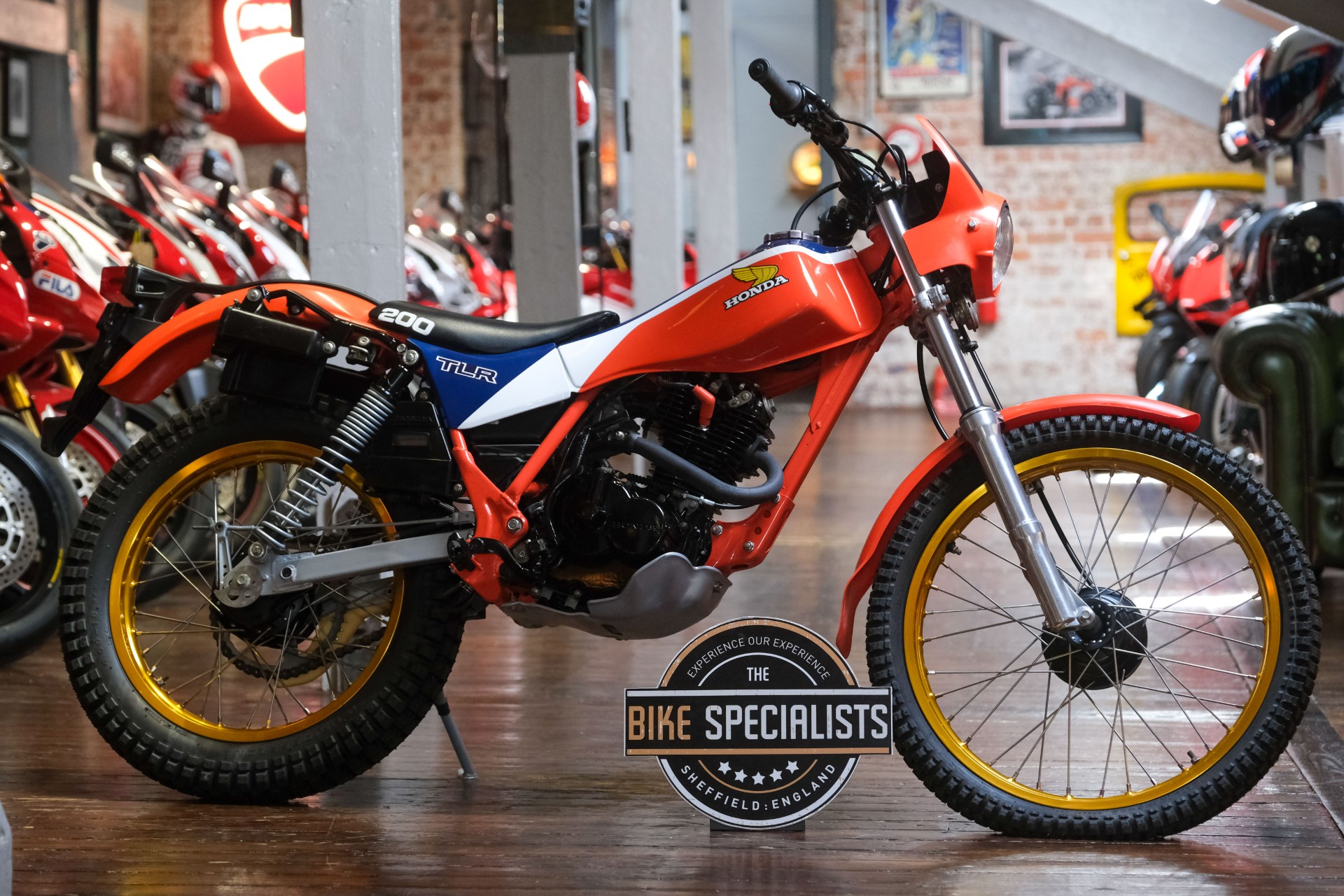 Honda TLR 200 | The Bike Specialists | South Yorkshire