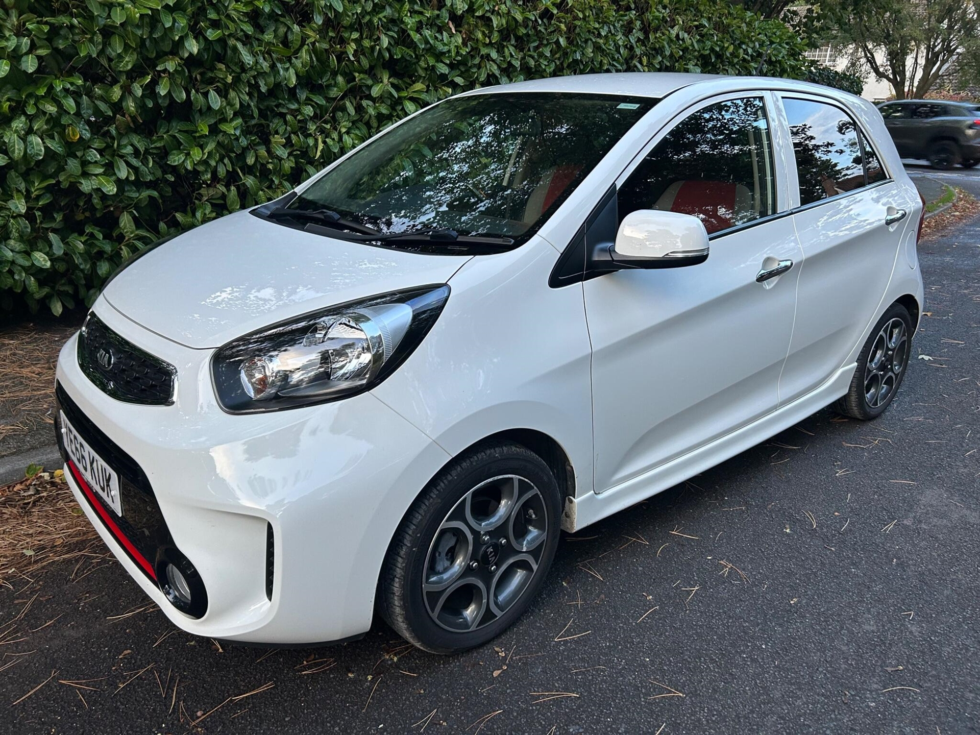 2016 KIA Picanto