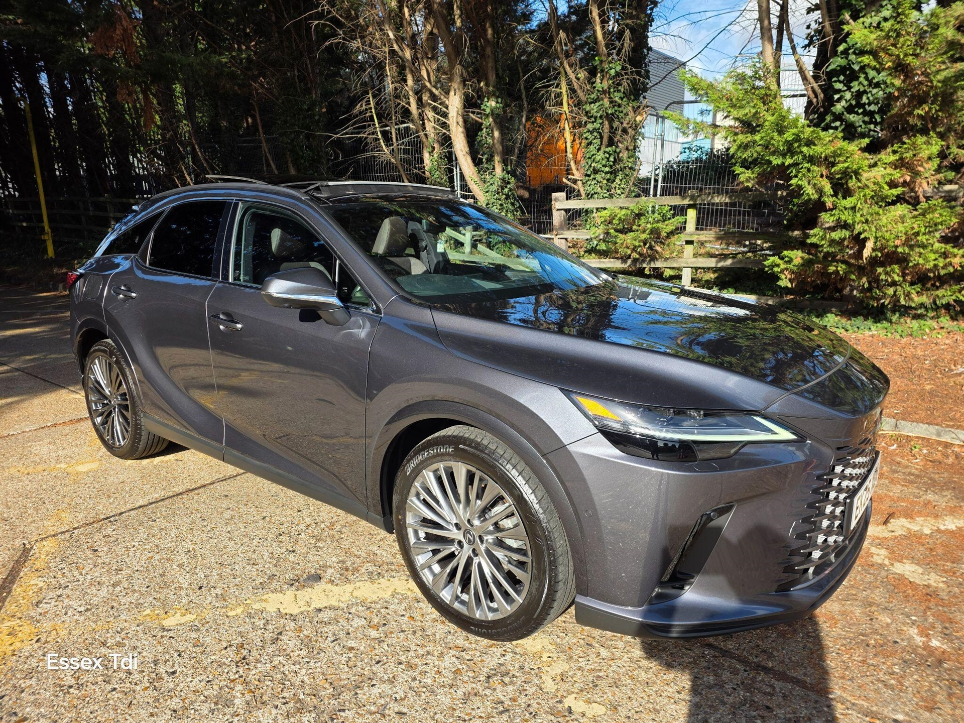 2025 Lexus RX