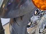 Used Harley-Davidson SOFTAIL
