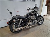 Used Harley-Davidson Sportster