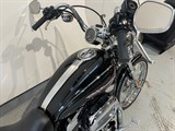Used Harley-Davidson Sportster