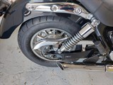 Used Triumph America