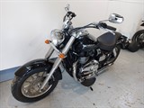 Used Triumph America