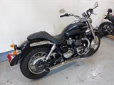 Used Triumph America