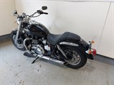 Used Triumph America