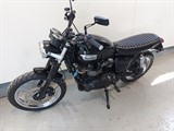 Used Triumph Scrambler 900