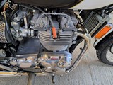 Used Triumph Trident