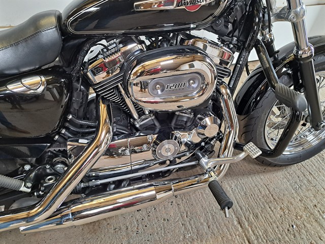 Used Harley-Davidson Sportster