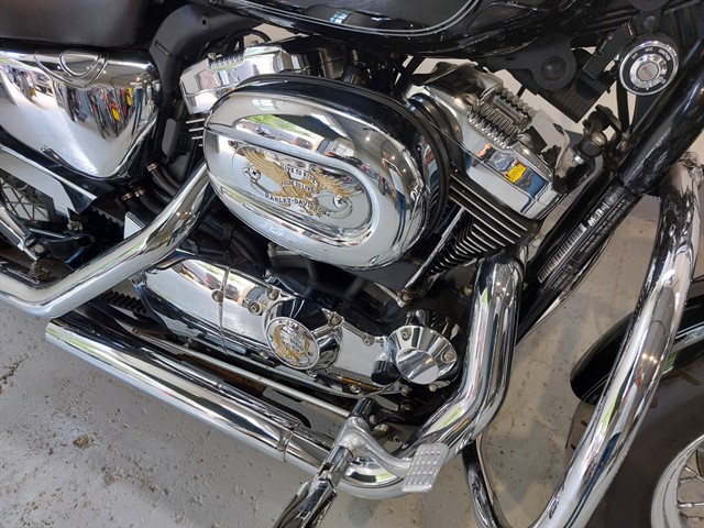 Used Harley-Davidson Sportster