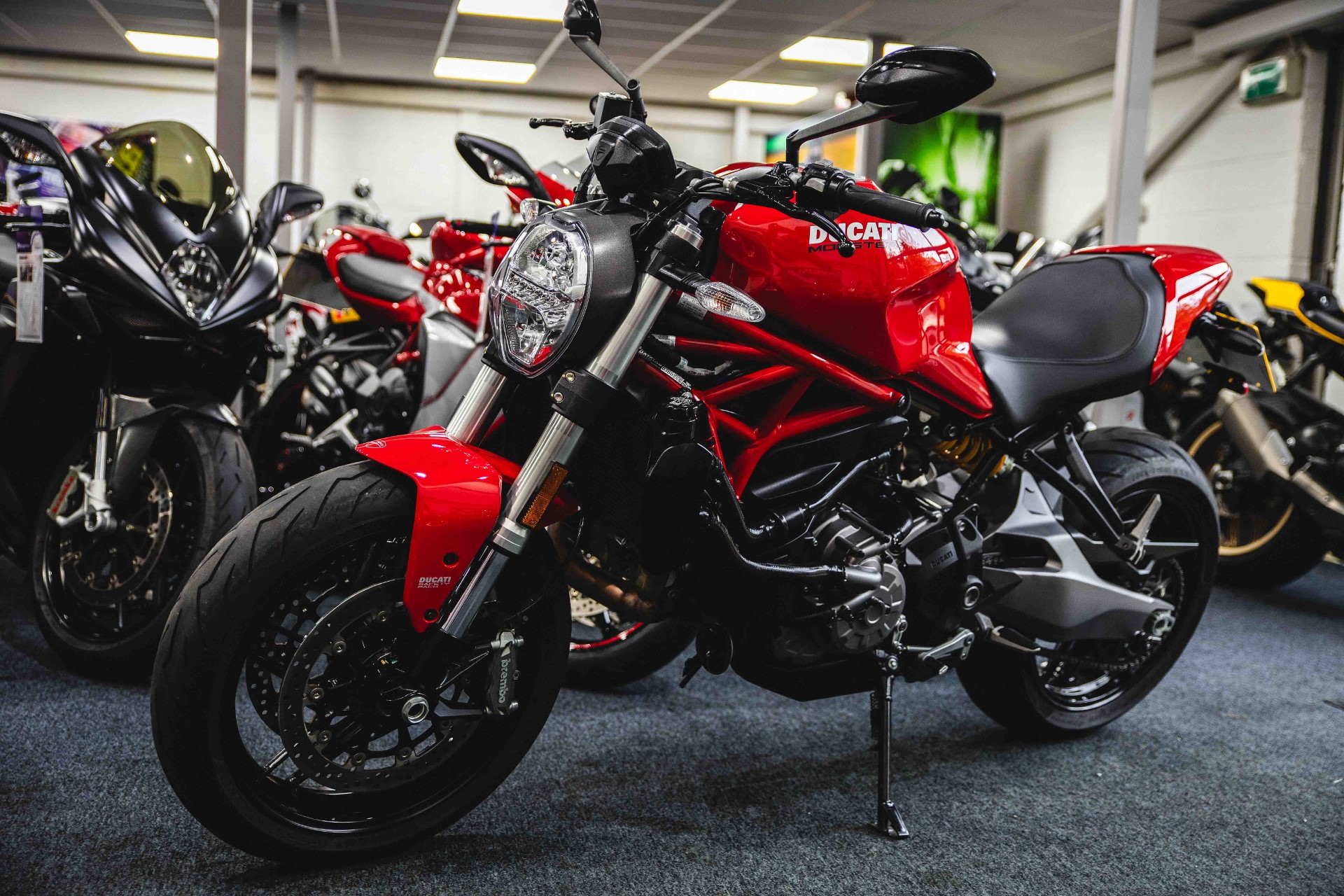 Used Ducati Monster 821 for sale in York, North Yorkshire