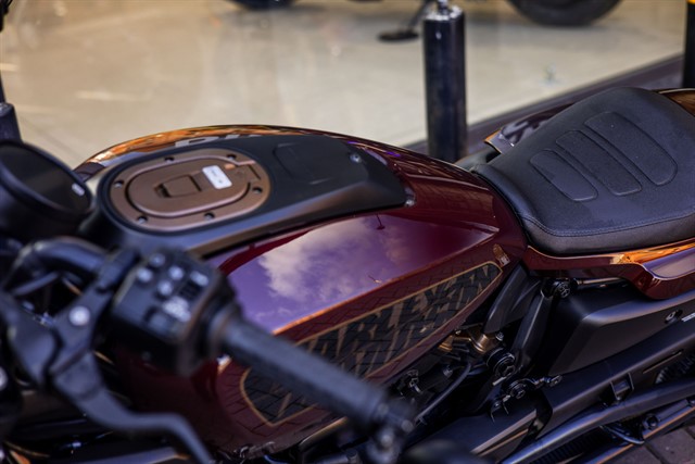 Used Harley-Davidson SOFTAIL