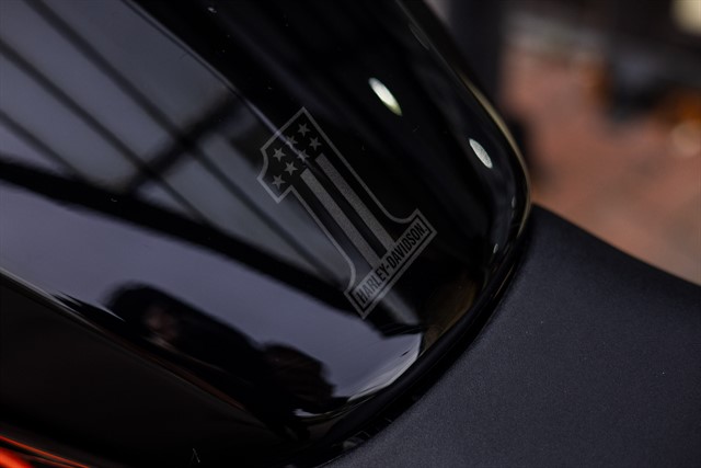 Used Harley-Davidson SOFTAIL