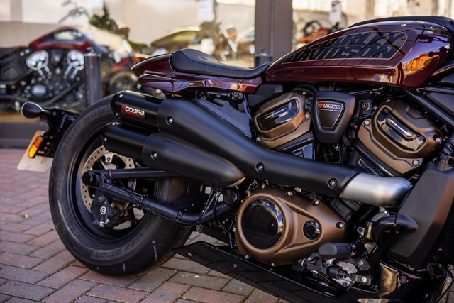 Used Harley-Davidson SOFTAIL