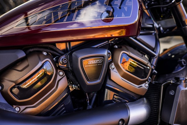 Used Harley-Davidson SOFTAIL