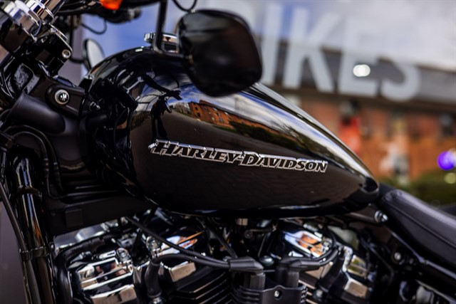 Used Harley-Davidson SOFTAIL