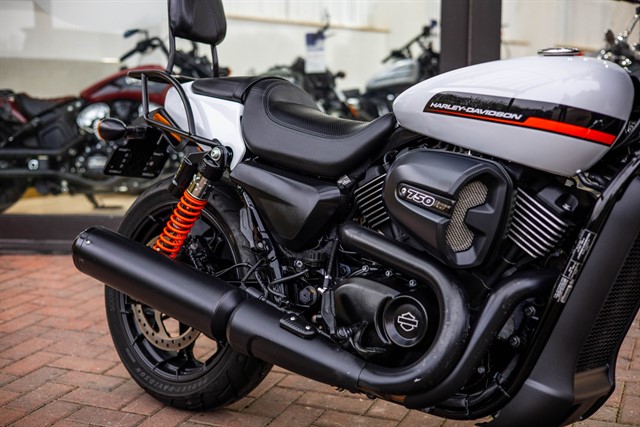 Used Harley-Davidson Street