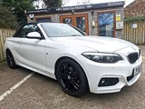 Used BMW 220i