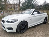 Used BMW 220i