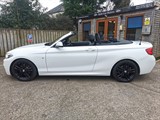 Used BMW 220i