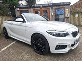 Used BMW 220i