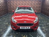 Used Ford Focus