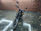 Used Harley-Davidson Street
