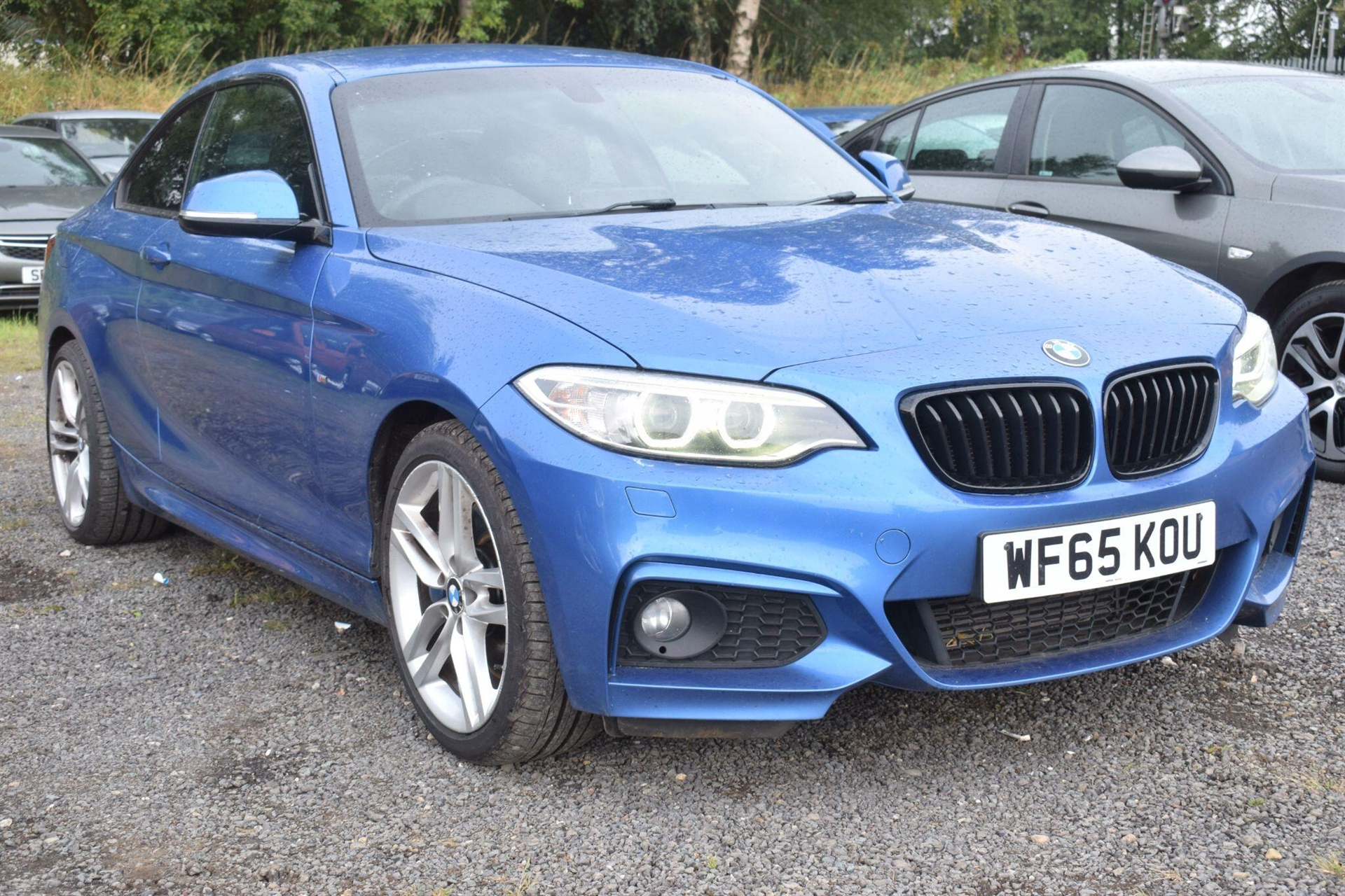BMW 2 Series 2015
