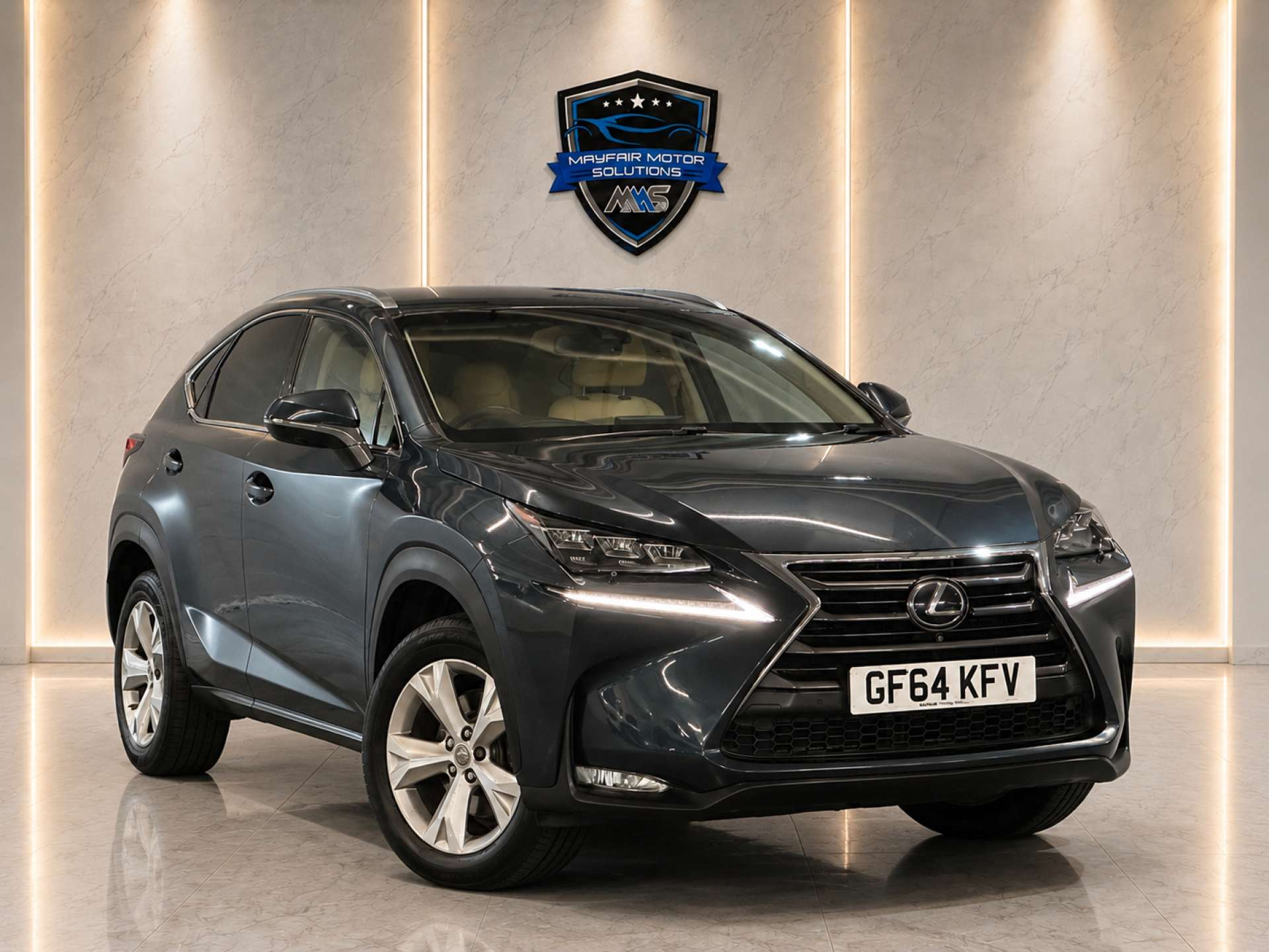 2014 Lexus NX